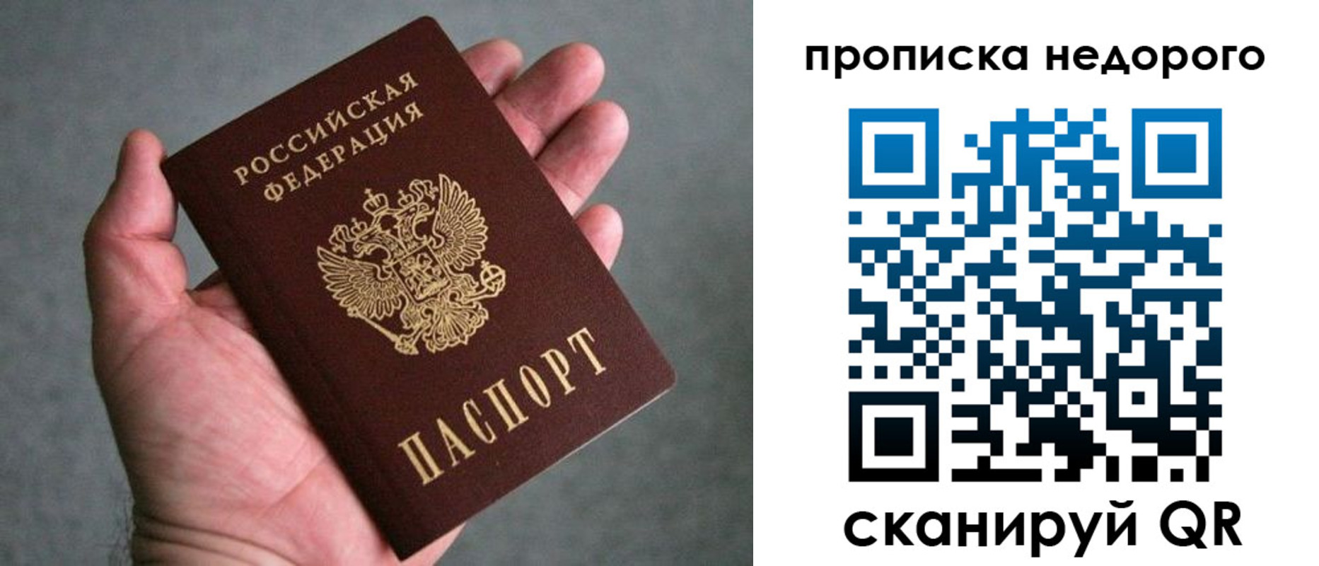прописка поиск в Самарской области